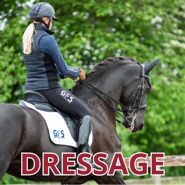 dressage